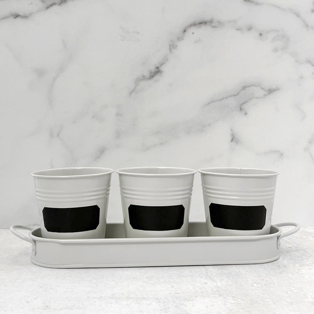 
            
                Load image into Gallery viewer, Herb Chalkboard Pot Set w/Tray
            
        
