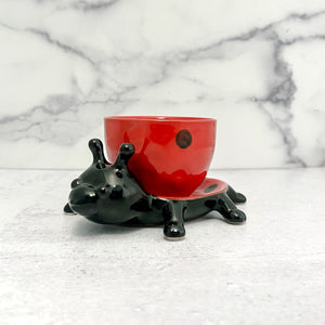 Lady Bug Planter