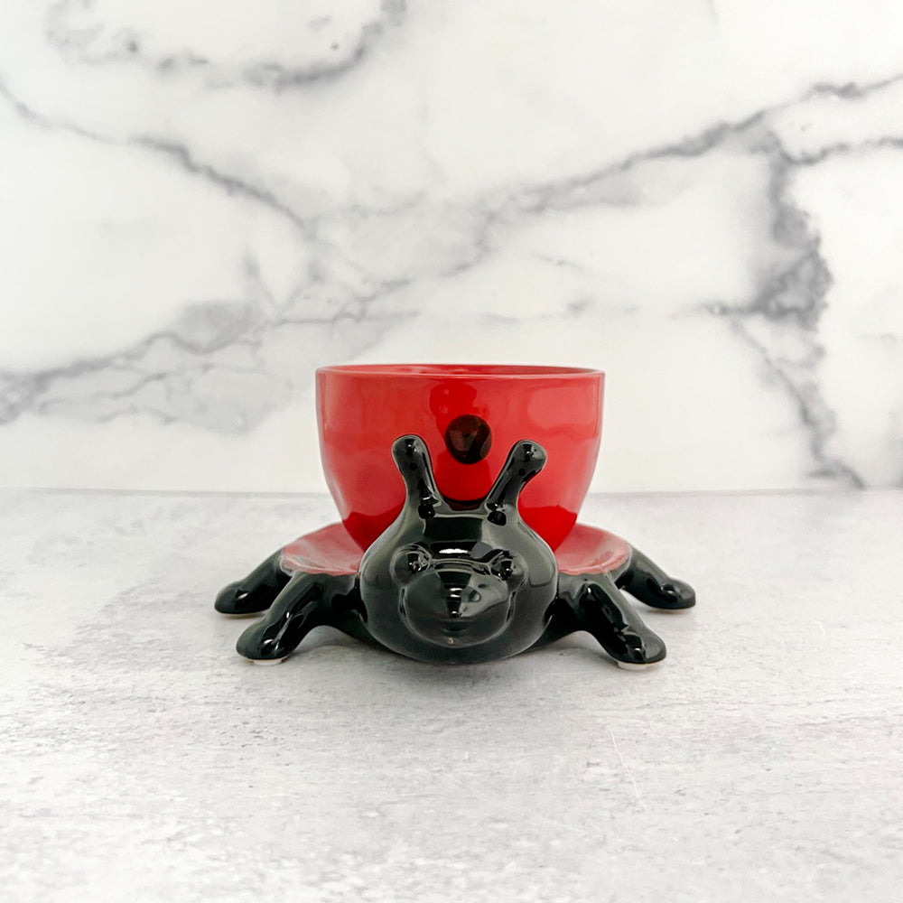 Lady Bug Planter