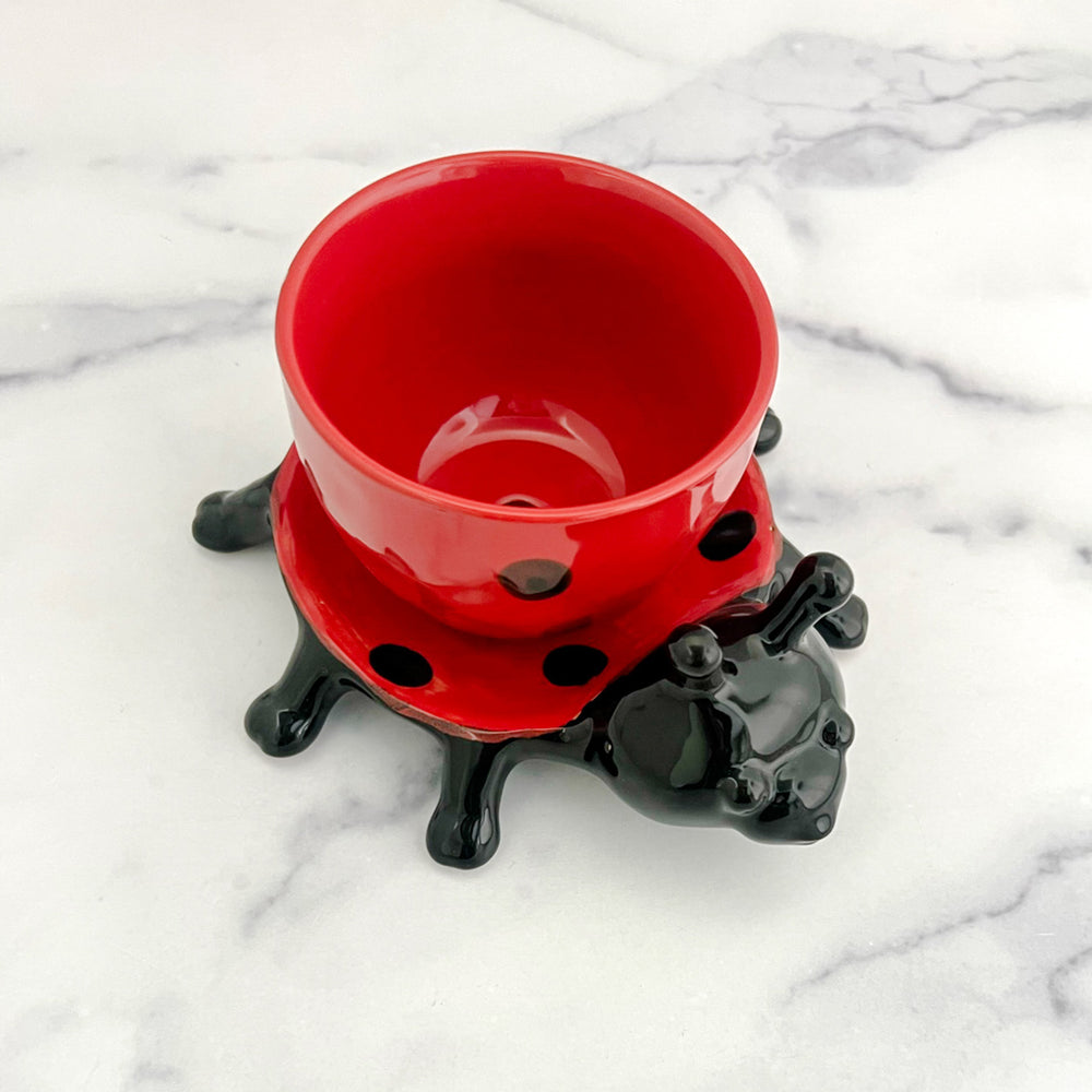 Lady Bug Planter