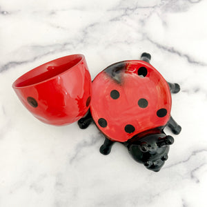 Lady Bug Planter