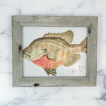 Watercolor 8x10 Rustic Framed Fish