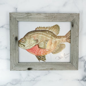Watercolor 5X7 Framed Fish