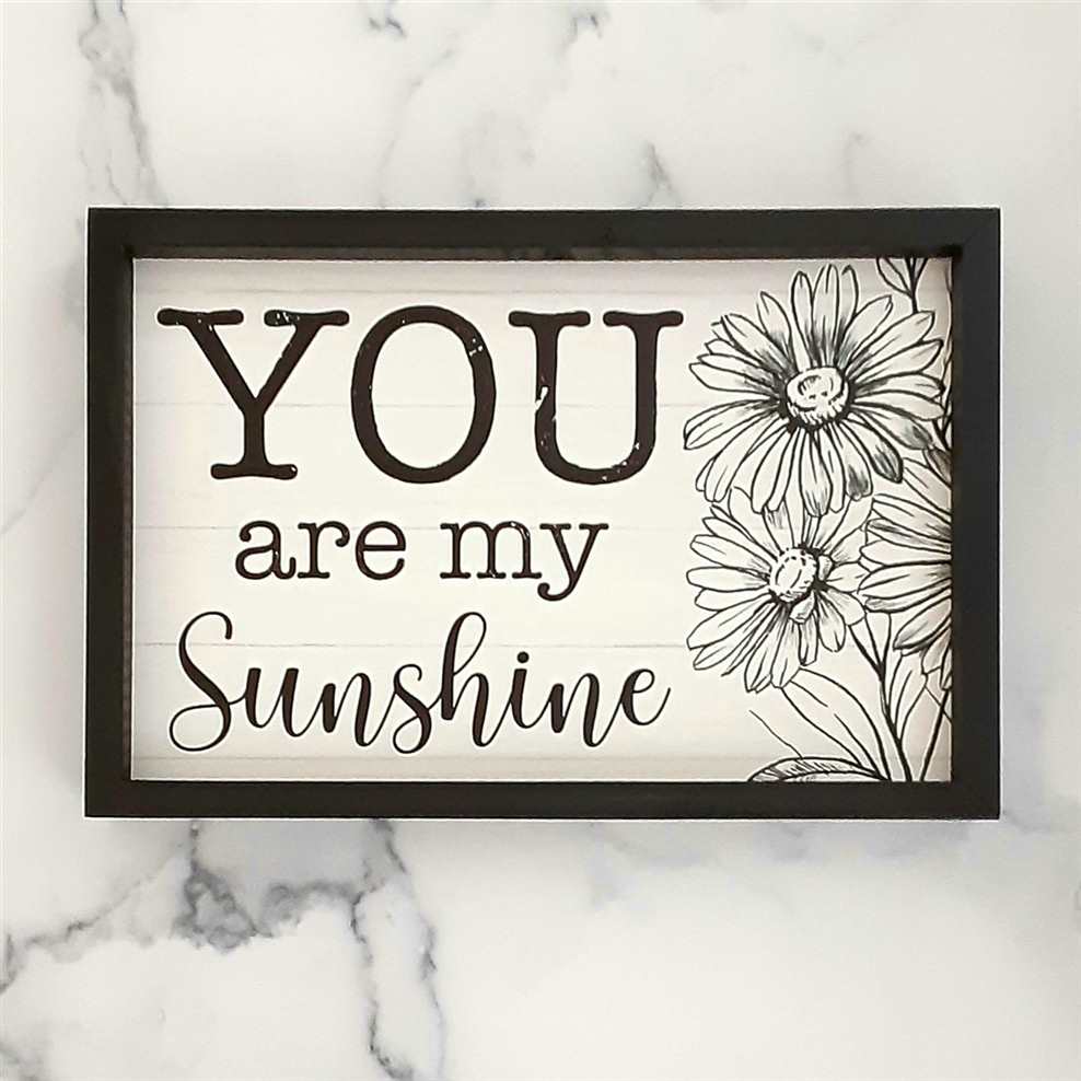 Framed Shadow Box Sign, You Are my Sunshine w/Daisy – PaulaDeenShop.com