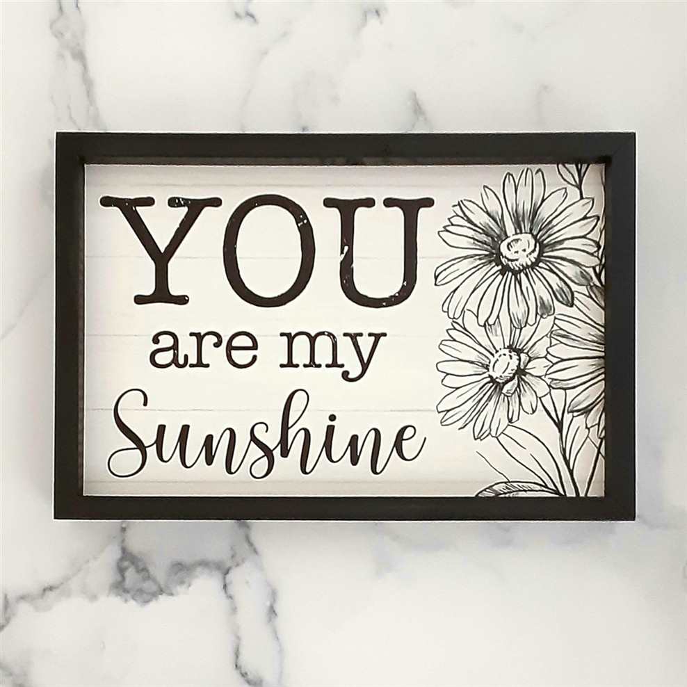 Framed Shadow Box Sign, You Are my Sunshine w/Daisy